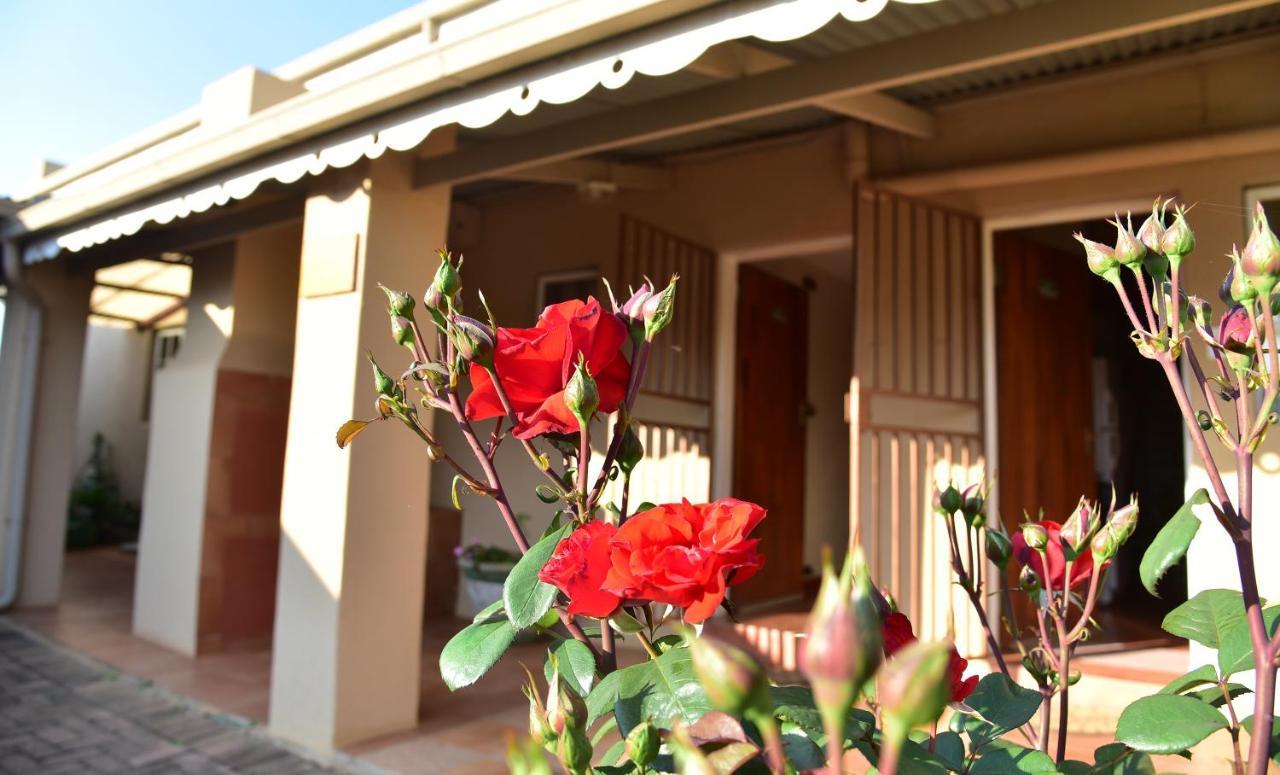 Villa Moria Peace Cottage 德尔斯特鲁姆 外观 照片
